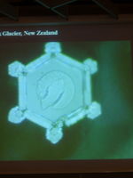 DSCN1229.JPG
