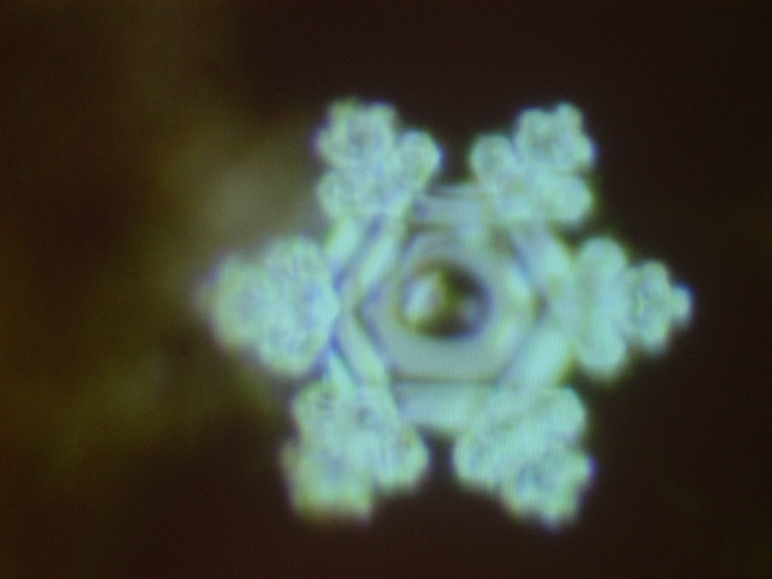 DSCN1223.JPG
