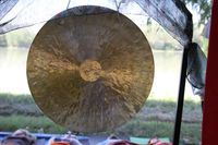 il gong  galattico.jpg