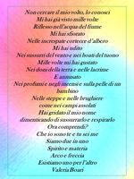 non cercare il mio volto.jpg