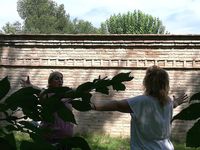 IMG_20200826_122858 (1).jpg