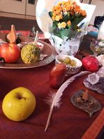 IMG_20200927_084039.jpg