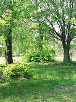 IMG_20210421_111917.jpg