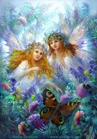 FB_IMG_1544897380147.jpg